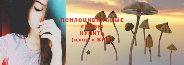 MESCALINE Надым
