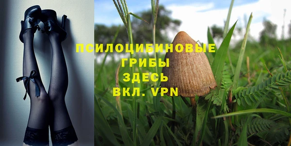 MESCALINE Надым